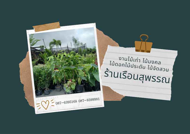 เรือนสุพรรณ ตลาดต้นไม้กุดกว้าง