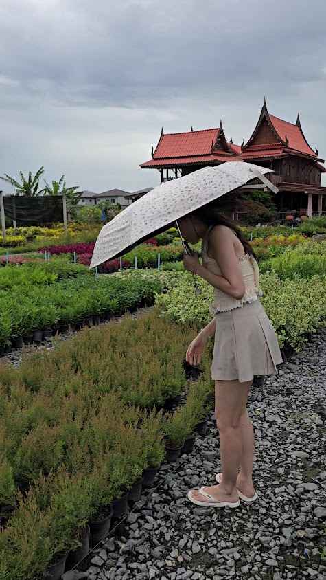 เรือนไทยการ์เด้น - 2