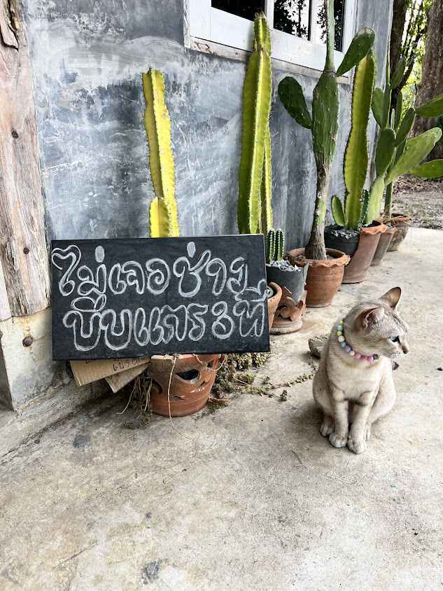 เรื่องของผม BARBER SHOP - 3