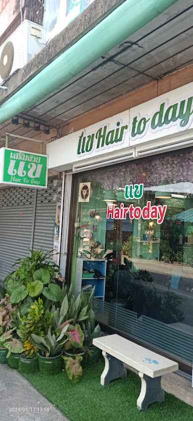 แข Hair to day - 2