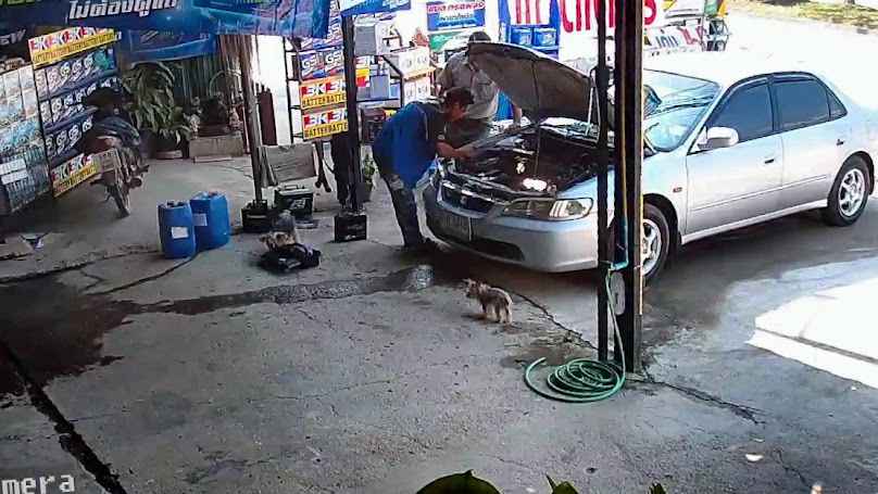 แบตเตอรี่ แม่โจ้ - Q Battery Shop - 2