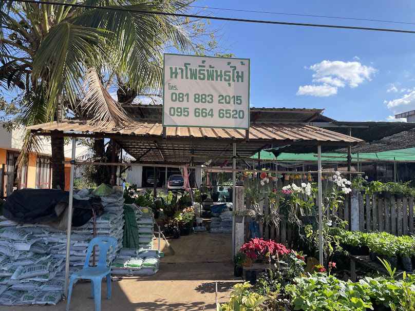 แปดริ้วพันธ์ไม้สาขา2 - 2