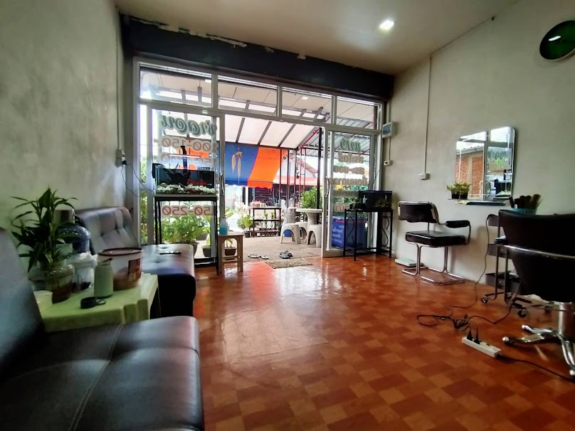 แป้งซาลอน - 2
