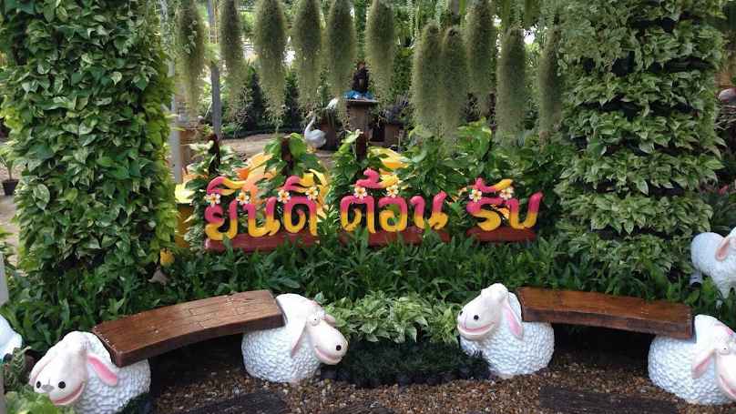แผ่นดินทองการ์เด้นท์ - Goldenland Garden - จำหน่ายหญ้าปูสนาม ไม้ดอกไม้ประดับ และอุปกรณ์การเกษตร ปลีกและส่ง - 4