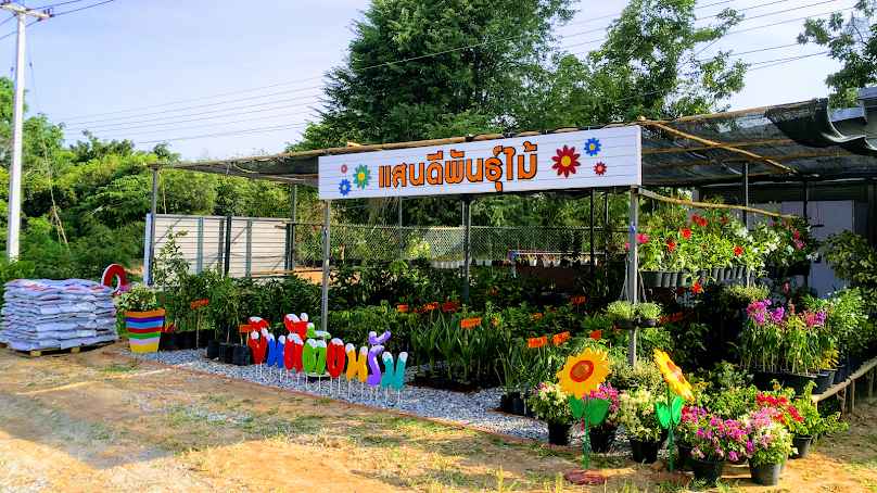 แสนดีพันธุ์ไม้ Trees Flowers Mahasarakham