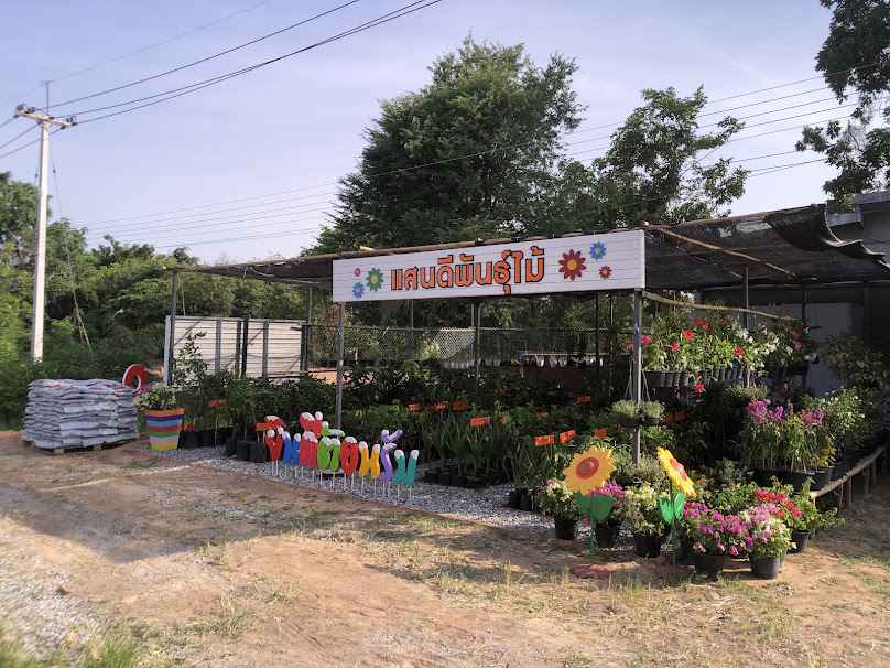 แสนดีพันธุ์ไม้ Trees Flowers Mahasarakham - 3