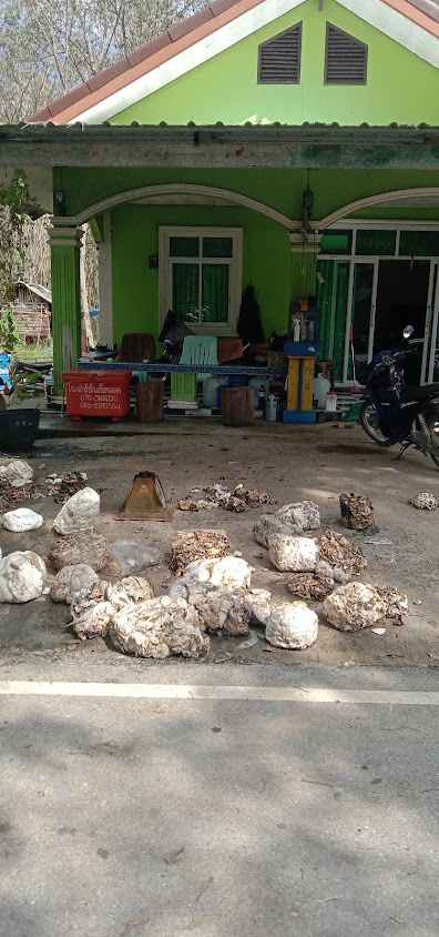 โกเล็ก บ่อดิน - 3