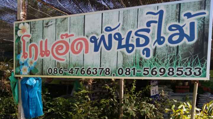 โกแอ๊ดพันธุ์ไม้ ตลาด อตก.ตรัง