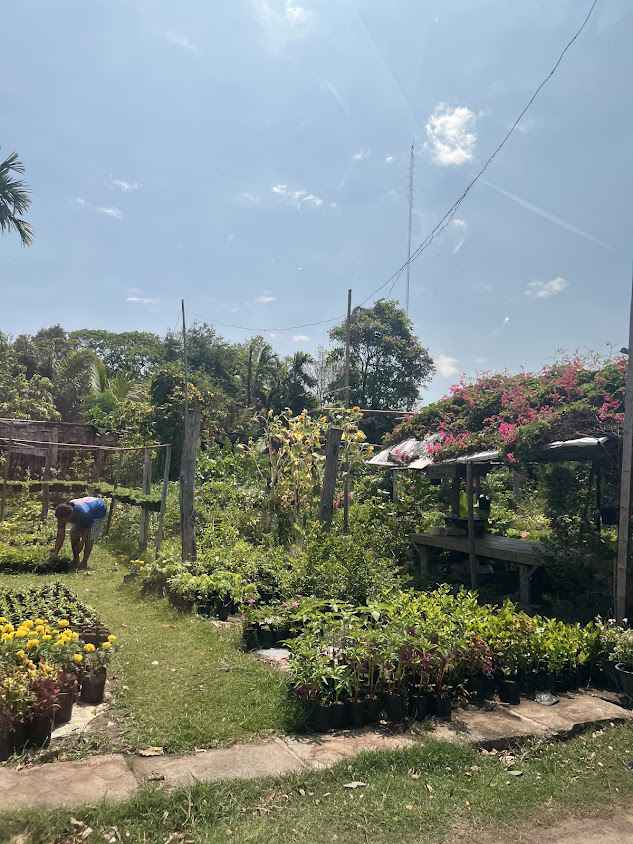 โซนร้านขายต้นไม้หนองขอน
