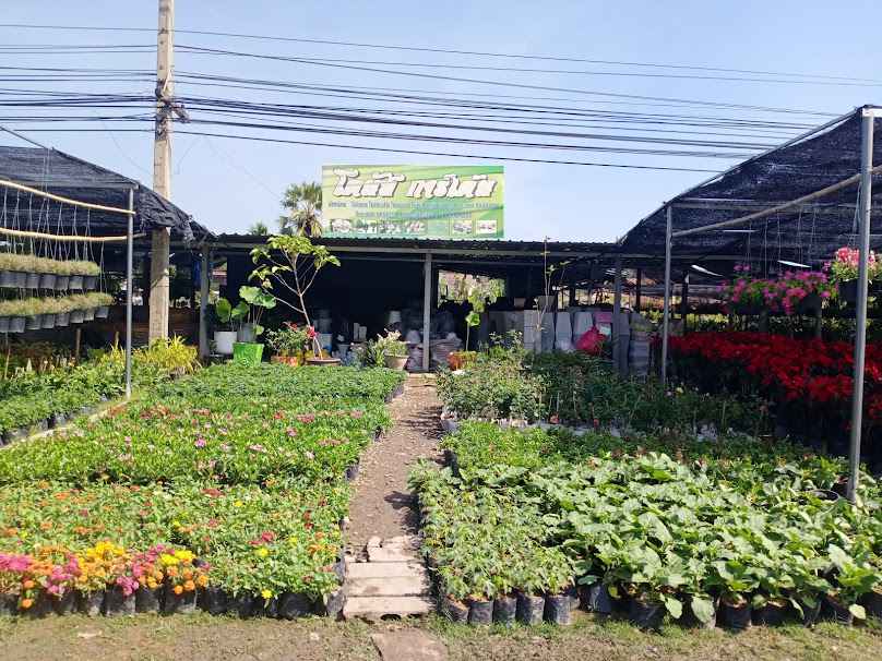 โดนัสการ์เด้น ร้านต้นไม้ ชัยภูมิ