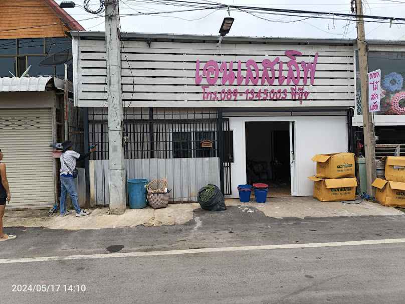 โพนลานนาไม้ประดับ - 3