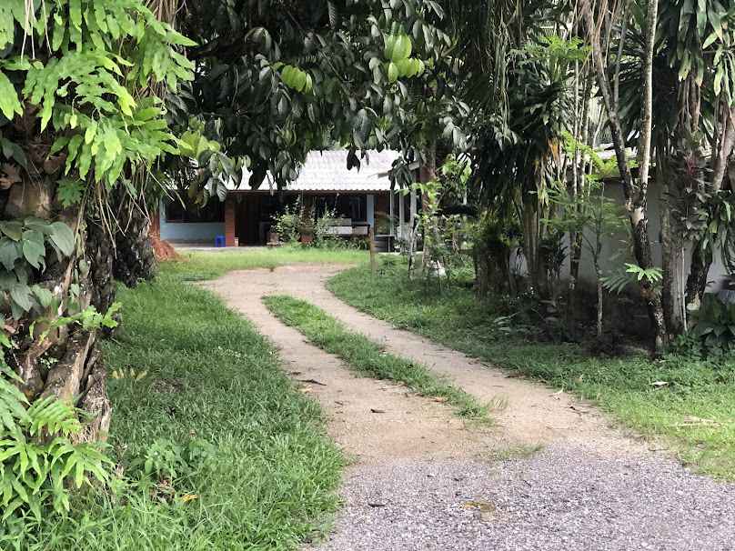 Thetsaban Mueang Ranong Gymnasium - 4