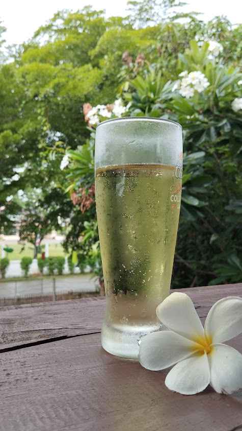 ใต้ถุน ป่าไผ่ - 4