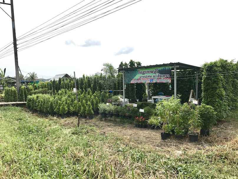 Sai Korean Bangpakong Chachoengsao - 2