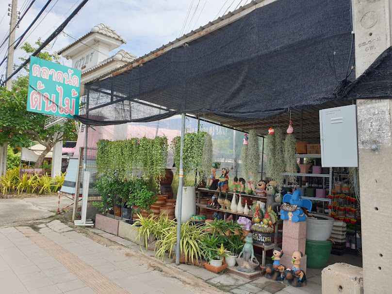 ไม้ด่างสวนคุณสัญญา - 3