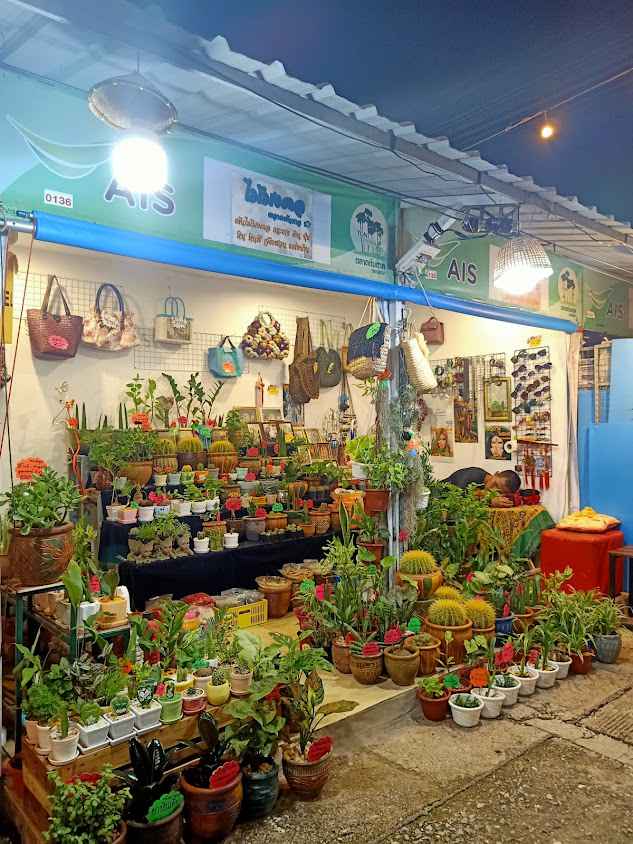 ไม้มงคลตลาดต้นตาล ซ.7 - 2