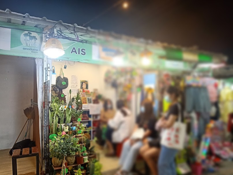 ไม้มงคลตลาดต้นตาล ซ.7 - 4