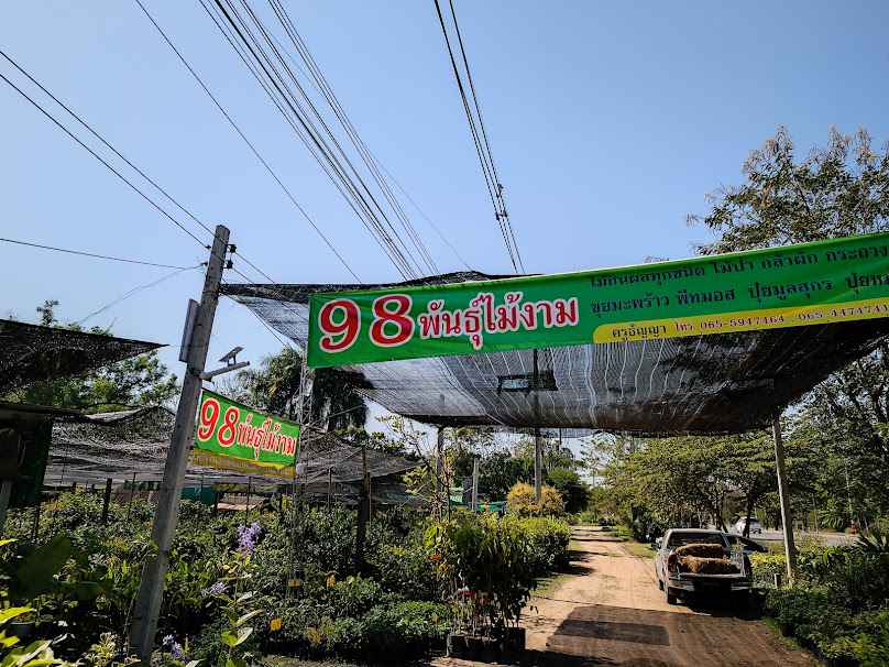 89พันธุ์ไม้งาม
