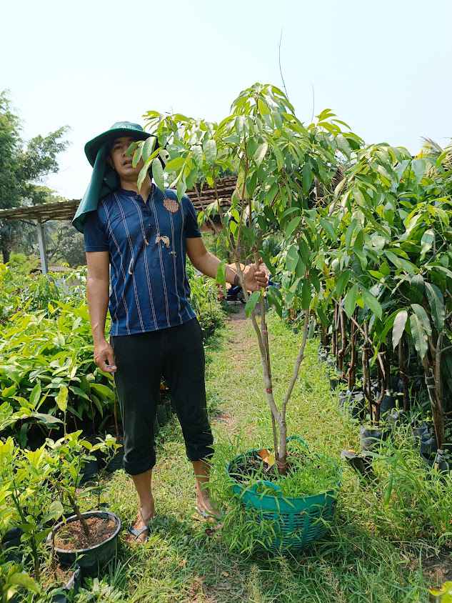 89พันธุ์ไม้งาม - 3