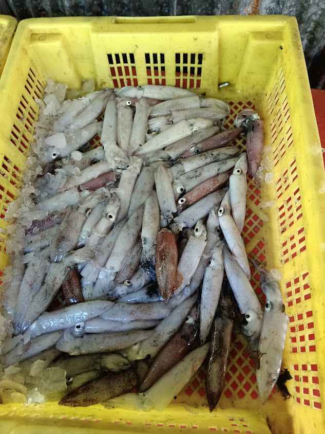 Acn รถเช่าชุมพร กุ้งสด-หมึกสด-น้องน้ำชา - 2