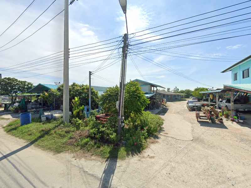 AIS buddy พานทอง