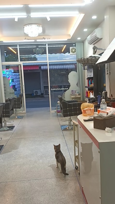All Nice Beauty Salon - 3