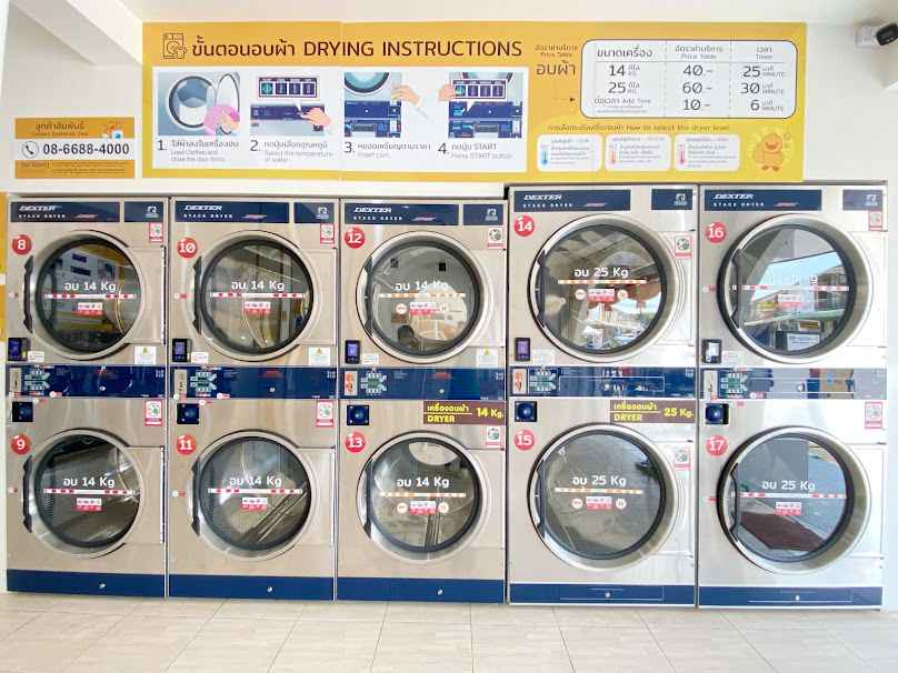 All Wash - 4