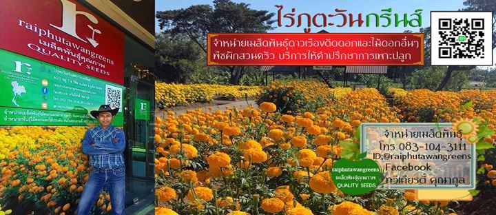 Anny Microgreens Shop