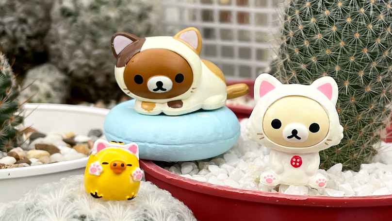 Atcha Little Cactus หนามจิ๋ว ตลาดนัดวันศุกร์ - 1