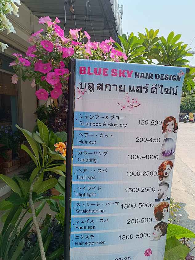 BlueSky Hair Design - 3