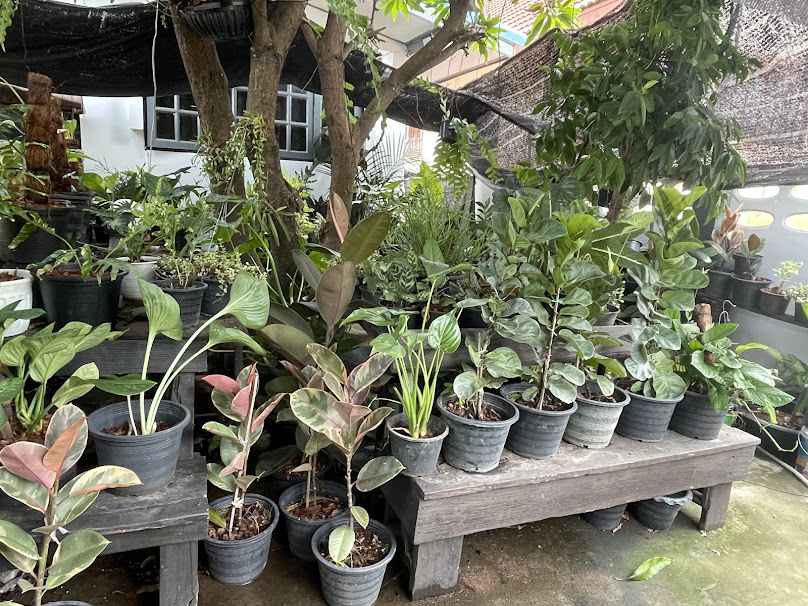 Boku garden @เมืองต้นไม้อุตรดิตถ์ - 2