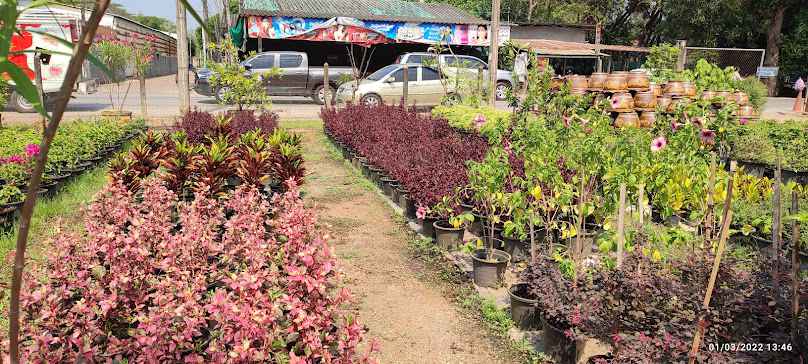 Boku garden @เมืองต้นไม้อุตรดิตถ์ - 3