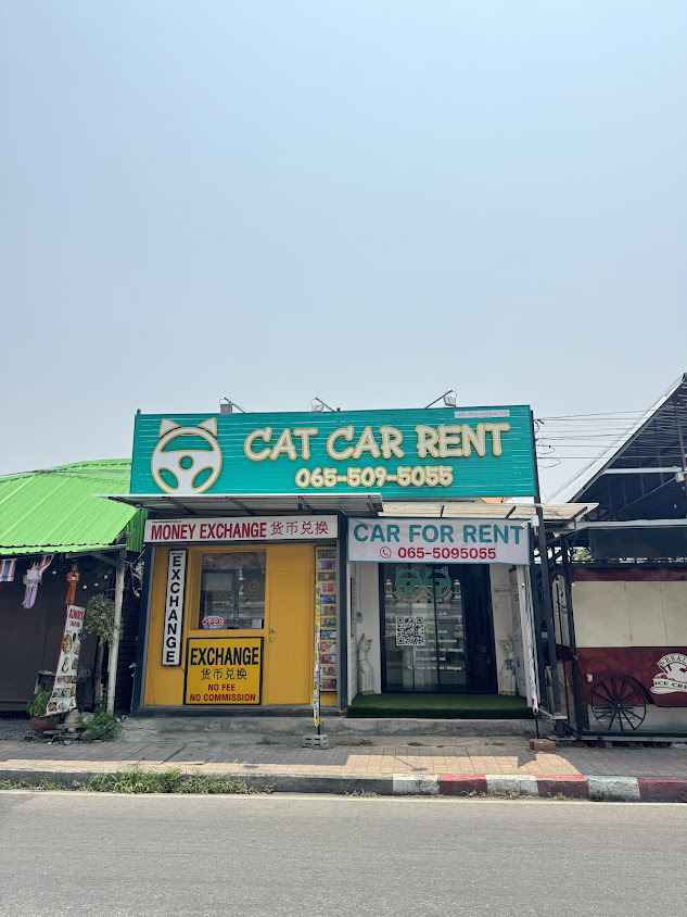 Cat Car Rent - Chiangmai - 3