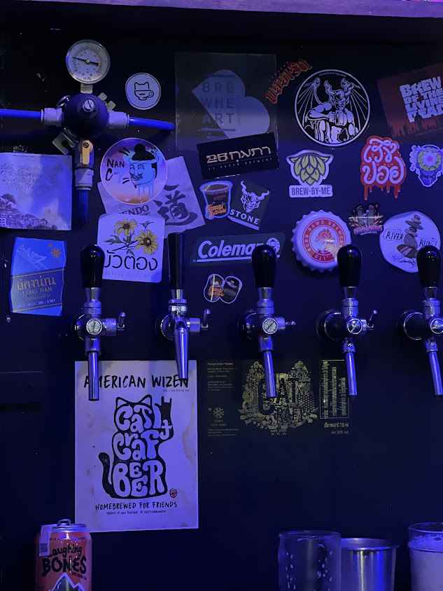 Cat Craft Beer - 3
