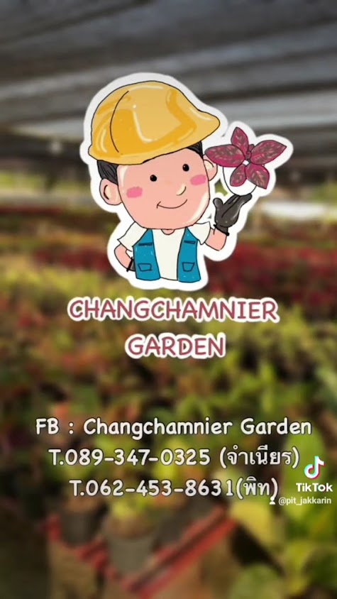 Changchamnier Garden - 2