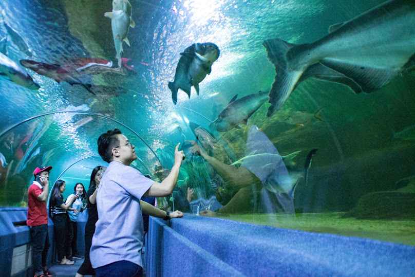 Cube Garden Thailand - 3