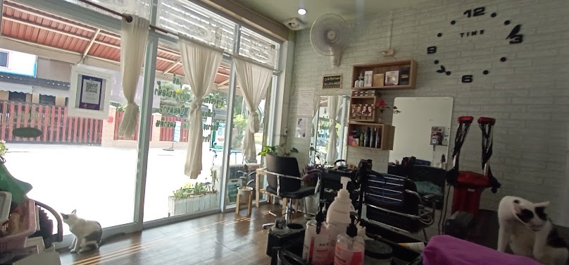 CUTE HAIR SALON - 4