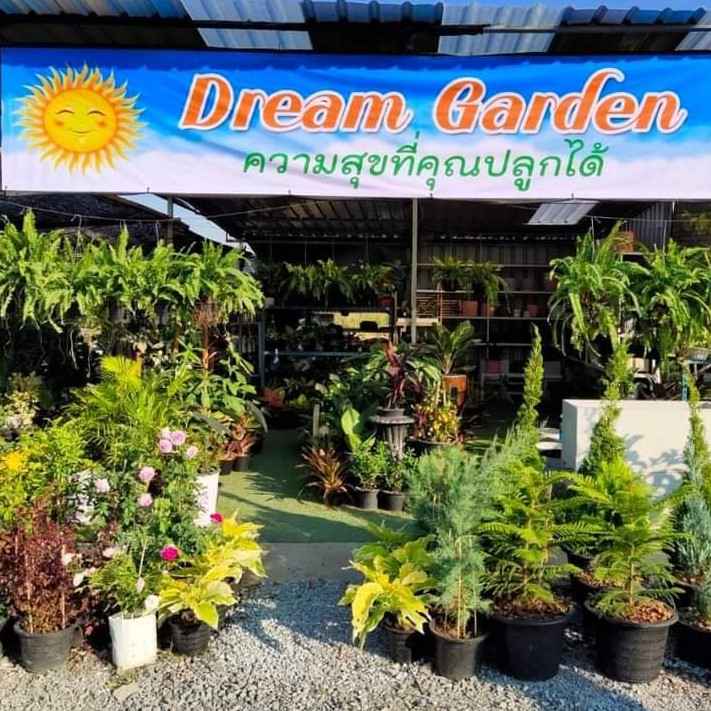 Dream Garden