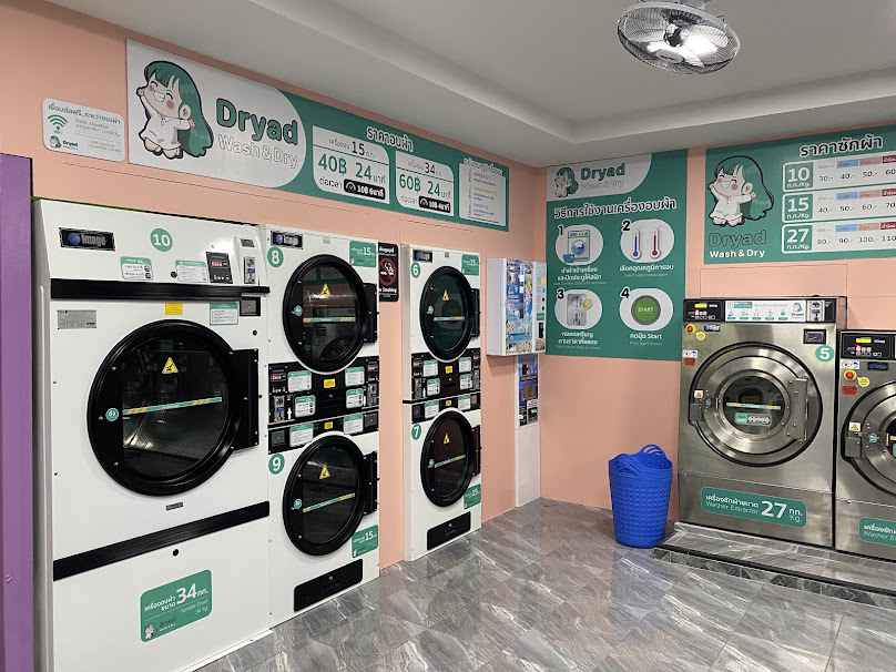 DryadWash&Dry - 3