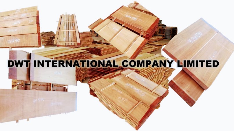 DWT International company limited
