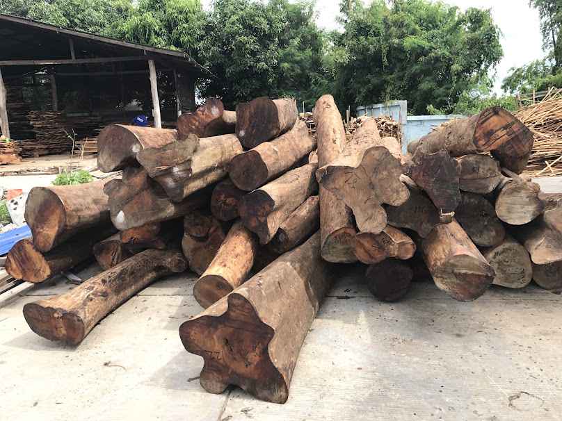 DWT International company limited - 3