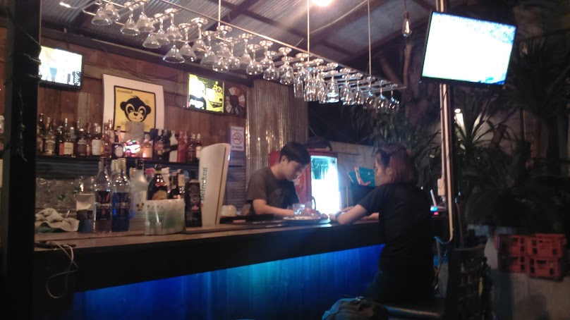 EJA Monkey Bar - 1