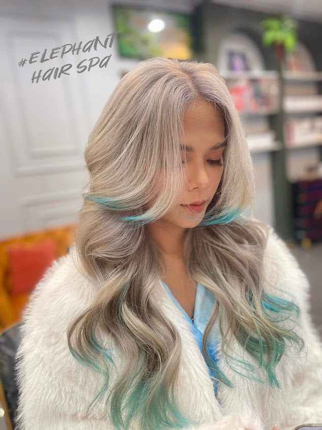 Elephant Hair Spa