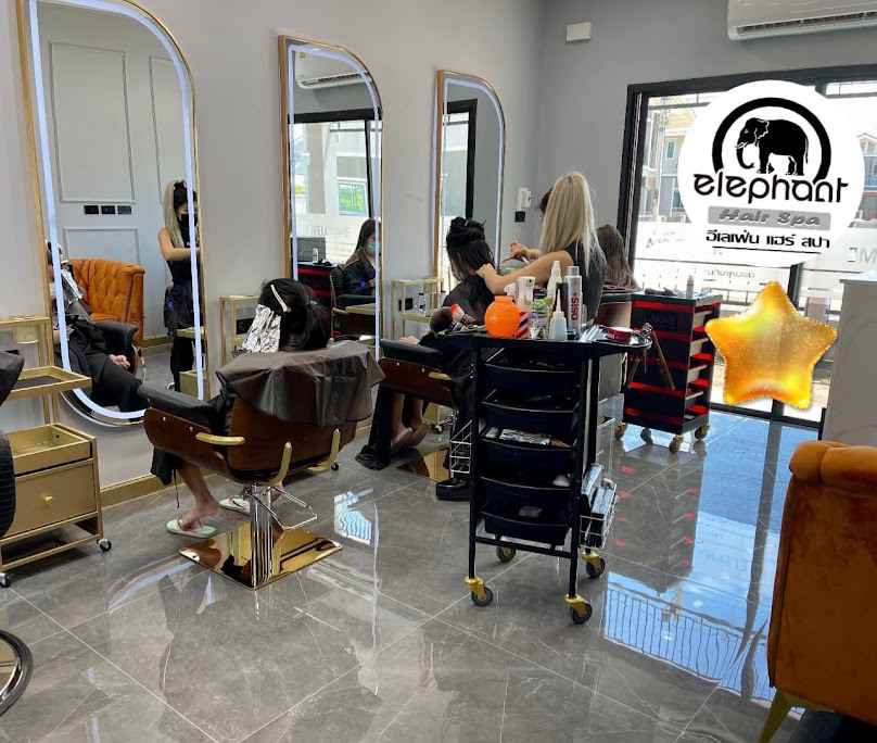 Elephant Hair Spa - 2