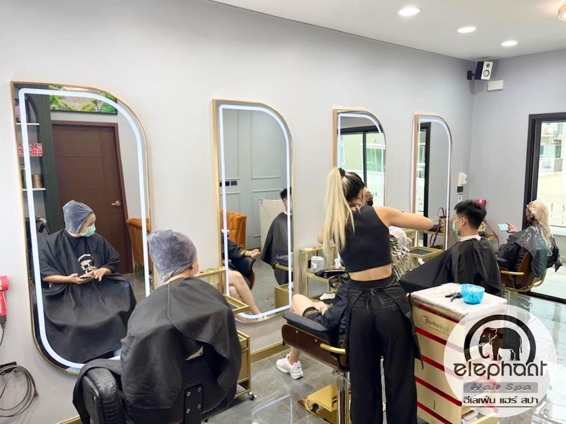 Elephant Hair Spa - 3