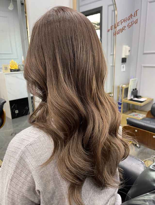 Elephant Hair Spa - 4