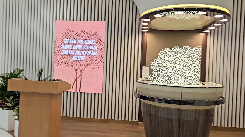 Emirates World - 3