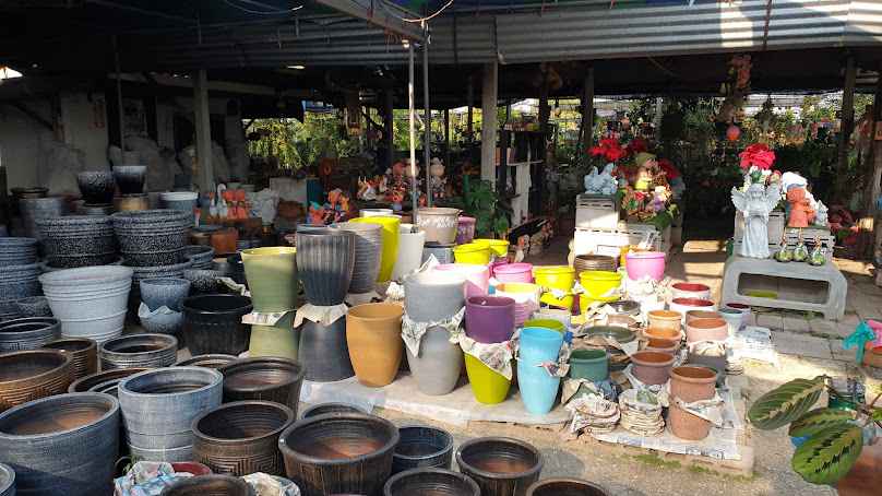 Garden Centre - on ringroad - 2