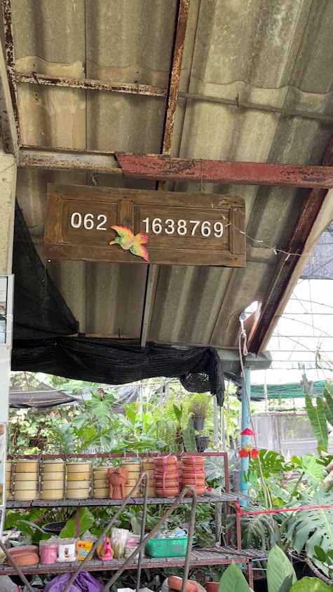 Garden Centre - on ringroad - 3