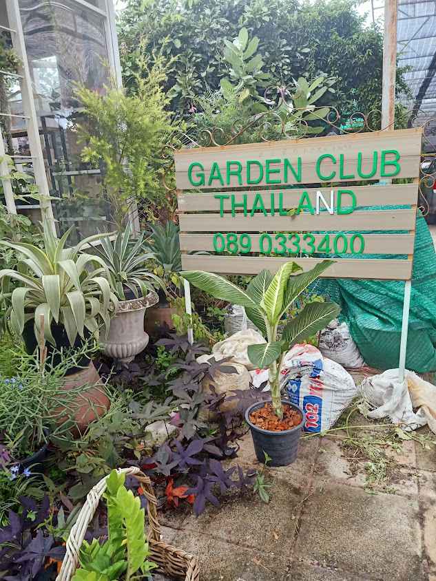 Garden club Thailand (การ์เด้น คลับ ไทยแลนด์) - 2